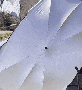 차량용 햇빛가리개 우산